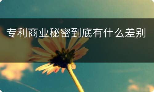 专利商业秘密到底有什么差别