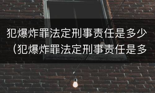 犯爆炸罪法定刑事责任是多少（犯爆炸罪法定刑事责任是多少条）