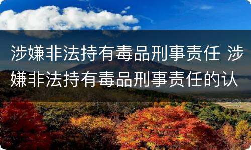 涉嫌非法持有毒品刑事责任 涉嫌非法持有毒品刑事责任的认定