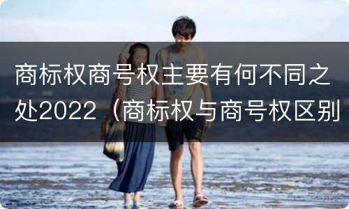 商标权商号权主要有何不同之处2022（商标权与商号权区别）