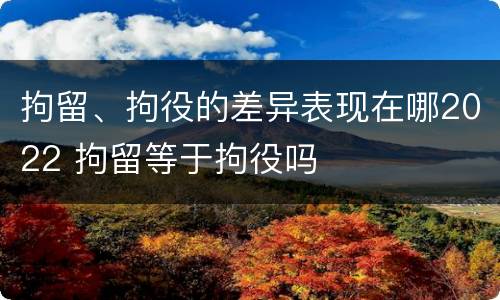 拘留、拘役的差异表现在哪2022 拘留等于拘役吗