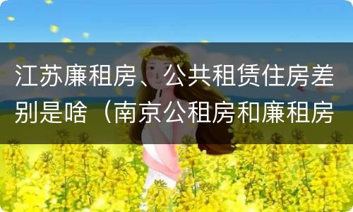 江苏廉租房、公共租赁住房差别是啥（南京公租房和廉租房的区别）
