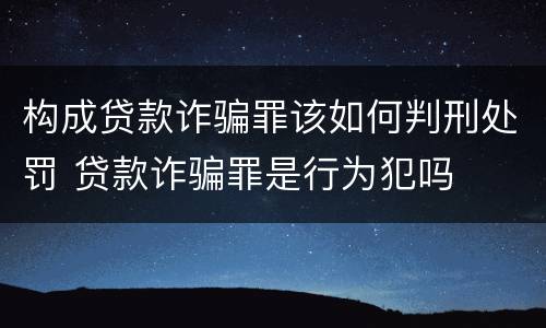 构成贷款诈骗罪该如何判刑处罚 贷款诈骗罪是行为犯吗