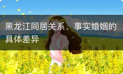 黑龙江同居关系、事实婚姻的具体差异
