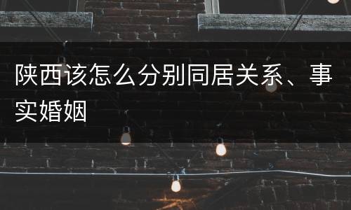陕西该怎么分别同居关系、事实婚姻