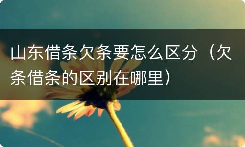 山东借条欠条要怎么区分（欠条借条的区别在哪里）