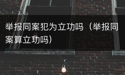 举报同案犯为立功吗（举报同案算立功吗）