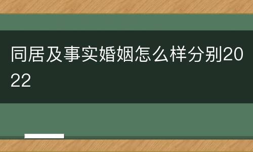 同居及事实婚姻怎么样分别2022