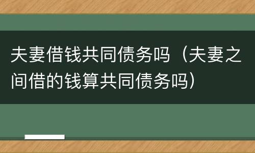 夫妻借钱共同债务吗（夫妻之间借的钱算共同债务吗）