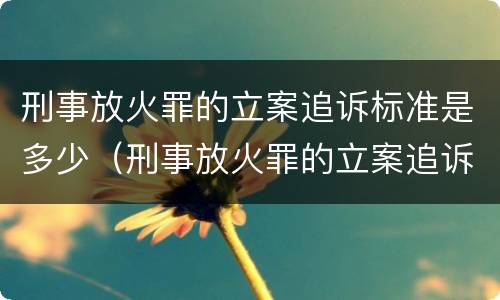 刑事放火罪的立案追诉标准是多少（刑事放火罪的立案追诉标准是多少条）