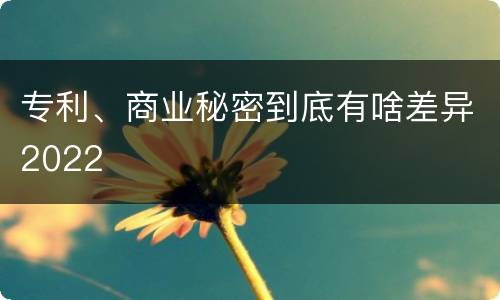 专利、商业秘密到底有啥差异2022