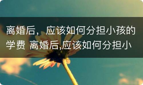 离婚后，应该如何分担小孩的学费 离婚后,应该如何分担小孩的学费呢