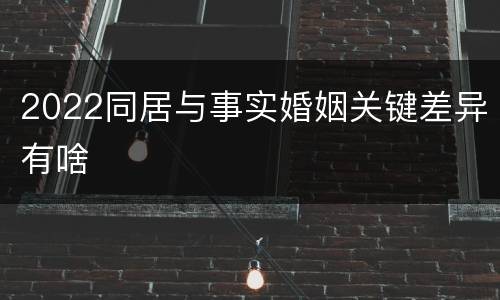 2022同居与事实婚姻关键差异有啥