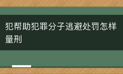 犯帮助犯罪分子逃避处罚怎样量刑