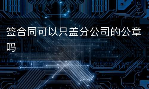 签合同可以只盖分公司的公章吗