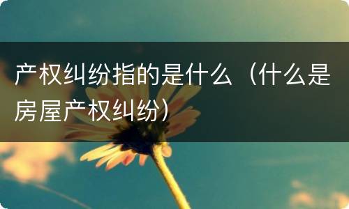 产权纠纷指的是什么（什么是房屋产权纠纷）
