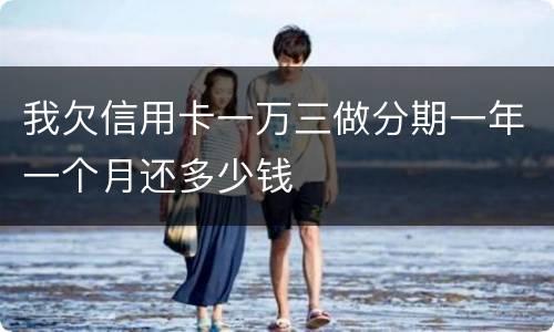 我欠信用卡一万三做分期一年一个月还多少钱