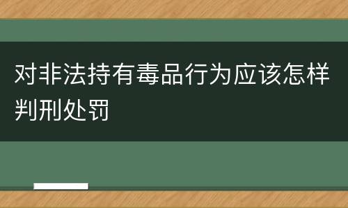 对非法持有毒品行为应该怎样判刑处罚
