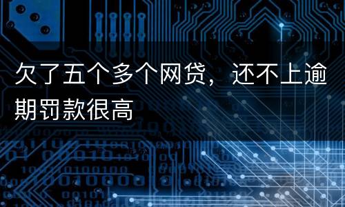 欠了五个多个网贷，还不上逾期罚款很高
