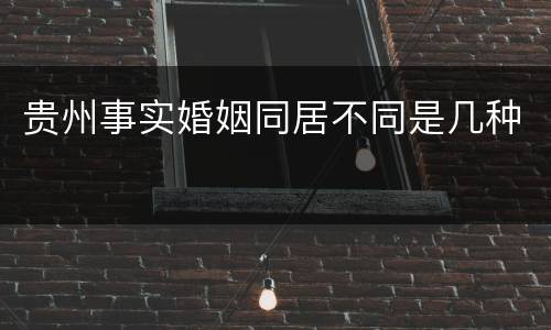 贵州事实婚姻同居不同是几种