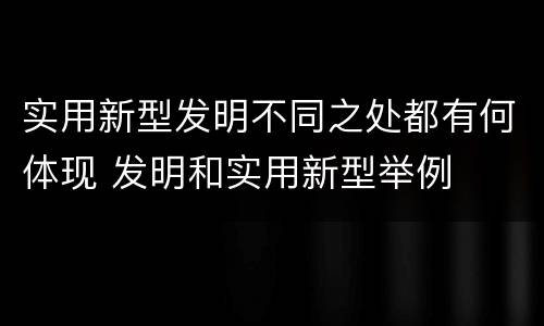 实用新型发明不同之处都有何体现 发明和实用新型举例