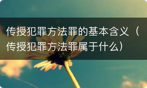 传授犯罪方法罪的基本含义（传授犯罪方法罪属于什么）