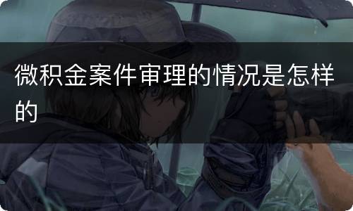微积金案件审理的情况是怎样的