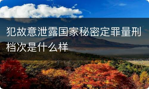 犯故意泄露国家秘密定罪量刑档次是什么样