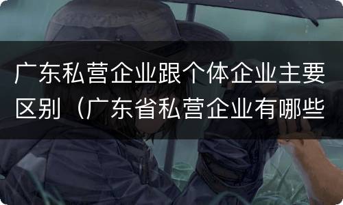 广东私营企业跟个体企业主要区别（广东省私营企业有哪些）