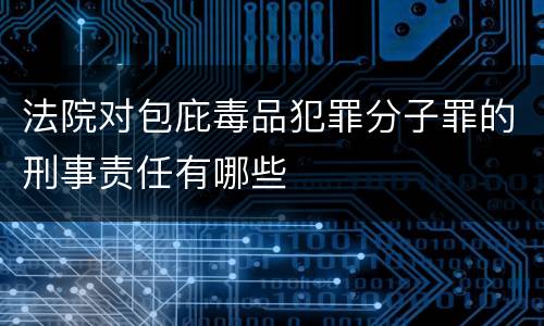 法院对包庇毒品犯罪分子罪的刑事责任有哪些