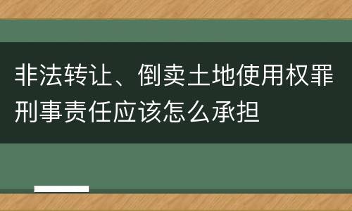 非法转让、倒卖土地使用权罪刑事责任应该怎么承担