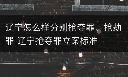 辽宁怎么样分别抢夺罪、抢劫罪 辽宁抢夺罪立案标准