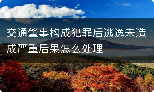交通肇事构成犯罪后逃逸未造成严重后果怎么处理