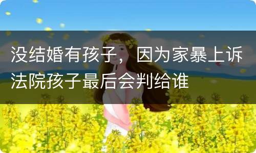没结婚有孩子，因为家暴上诉法院孩子最后会判给谁
