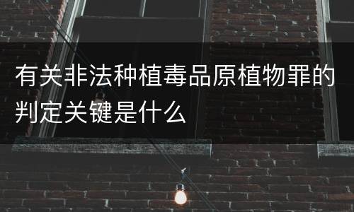 有关非法种植毒品原植物罪的判定关键是什么