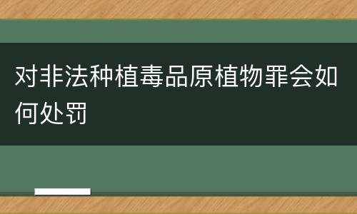 对非法种植毒品原植物罪会如何处罚