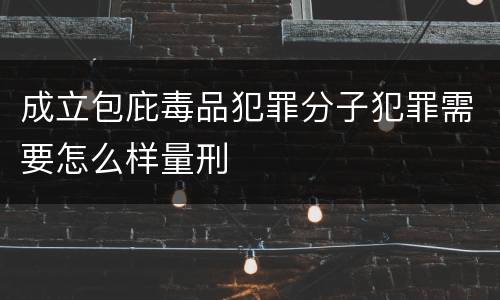 成立包庇毒品犯罪分子犯罪需要怎么样量刑