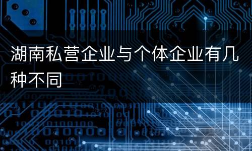 湖南私营企业与个体企业有几种不同