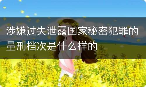 涉嫌过失泄露国家秘密犯罪的量刑档次是什么样的