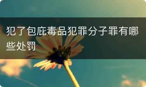犯了包庇毒品犯罪分子罪有哪些处罚