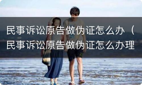 民事诉讼原告做伪证怎么办（民事诉讼原告做伪证怎么办理）