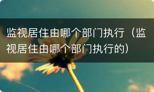 监视居住由哪个部门执行（监视居住由哪个部门执行的）