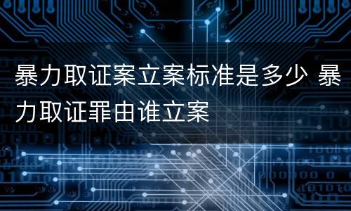 暴力取证案立案标准是多少 暴力取证罪由谁立案