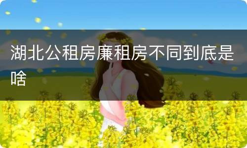 湖北公租房廉租房不同到底是啥