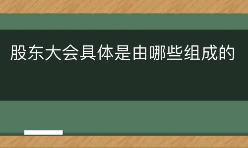 股东大会具体是由哪些组成的