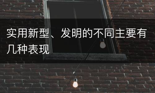 实用新型、发明的不同主要有几种表现