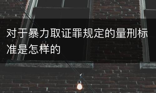 对于暴力取证罪规定的量刑标准是怎样的
