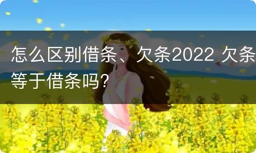 怎么区别借条、欠条2022 欠条等于借条吗?