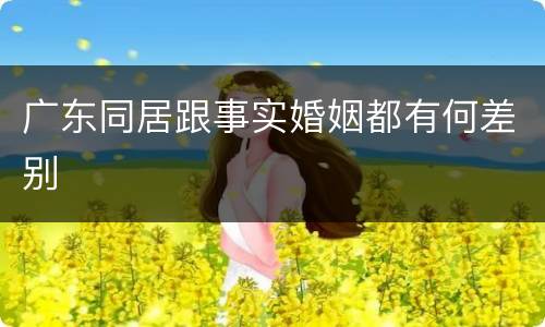 广东同居跟事实婚姻都有何差别