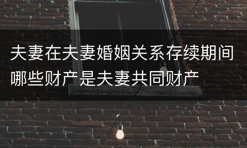 夫妻在夫妻婚姻关系存续期间哪些财产是夫妻共同财产
